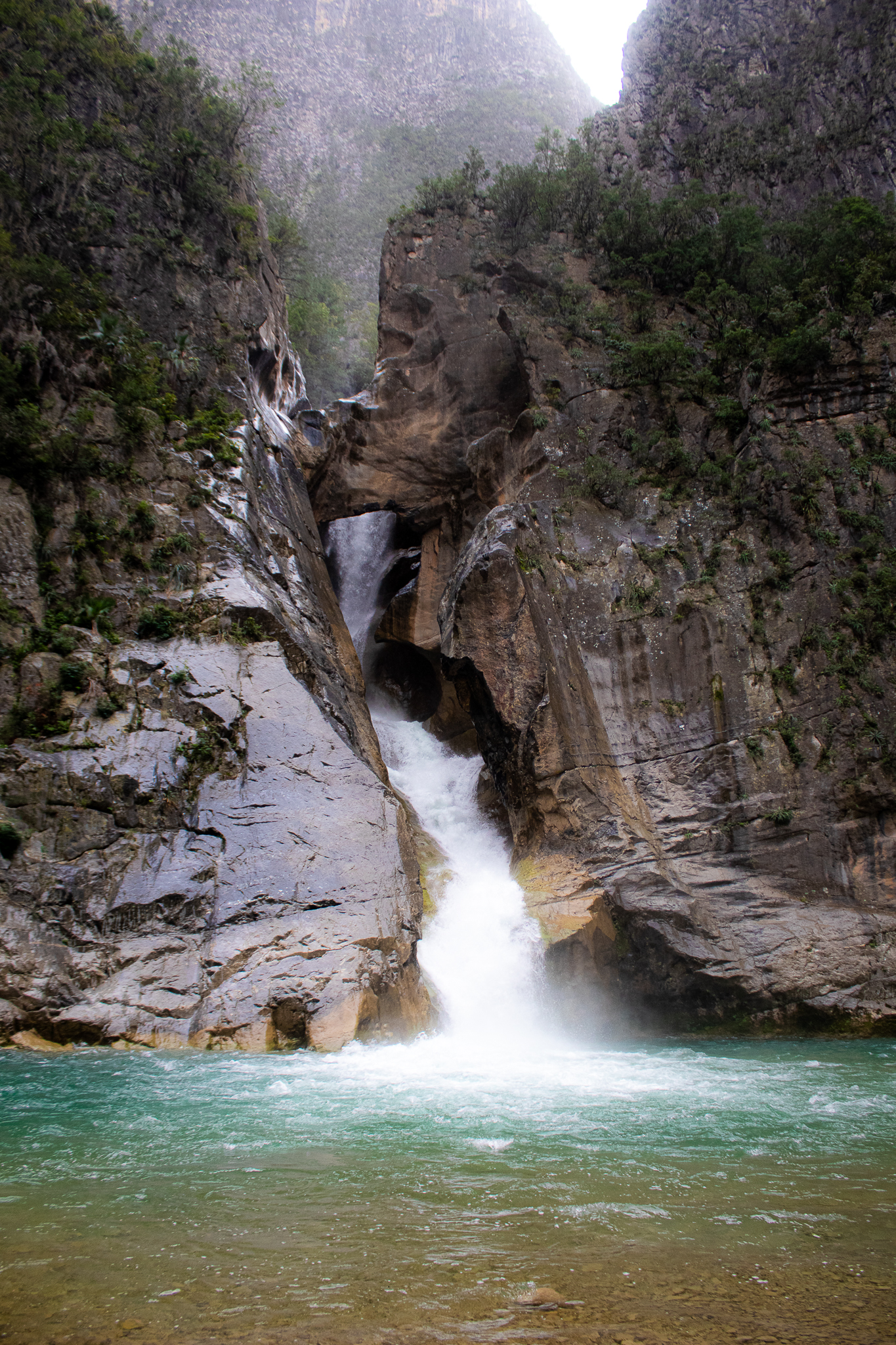 Cascada entre piedras y selva